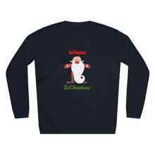 Load image into Gallery viewer, Unisex Rise Organic Cotton Sweatshirt - Don&#39;t Pandemic &#39;Tis Christmas!
